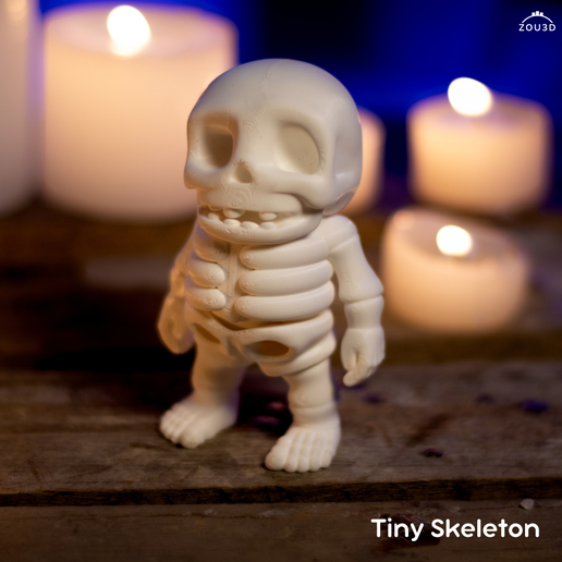 1.png TINY SKELETON