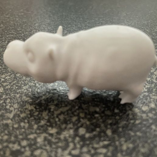 IMG_0624.jpg Hippo, Nilpferd