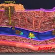 cancer-metastasis-spread-3d-model-blend-22.jpg cancer metastasis spread 3D model