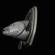 common-carp-26.png head trophy COMMON CARP (CYPRINUS CARPIO)open mouth statue 2 detailed texture for 3d printing