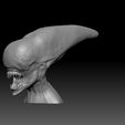 4.jpg Neomorph 3d print ready Bust