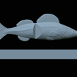 Am-bait-zander-13cm-6mm-eye-13.png AM bait zander / pikeperch fish 13cm breaking form for predator fishing
