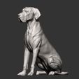 german-dog9.jpg German Dog 3D print model