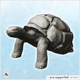 1-PREM.jpg Turtle (23) - Animal Savage Nature Circus Scuplture High-detailed
