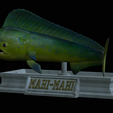 mahi-mahi-mouth-statue-17.png fish mahi mahi / common dolphin fish open mouth statue detailed texture for 3d printing