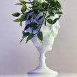 IMG_8217.jpg SKULL GOBLET /PLANTER