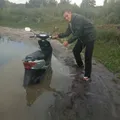 Niko51