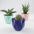 3 pots cactus QB Maker.jpg STL file Low poly pot / Plant cactus・3D printing design to download