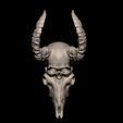 1c.jpg Human skull / Goat merged
