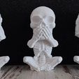 07.jpg 3 Wise Skull SET