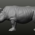 render2.jpg White Rhino