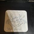 IMG_2185.jpeg Maryland crab coaster