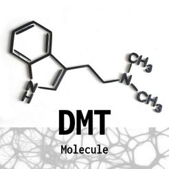 DMTtext.jpg Molécule de DMT