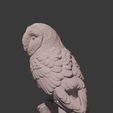 Screenshot-2024-01-05-155625.jpg Owl, Garden, cute, animal, creature, garden, statue, ornaments, garden ornaments, Owl, bird  of prey, bird