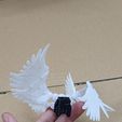 20240609_180848.jpg Articulated wings for DUMMY 13 (Fully flexible, module designs)