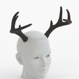 Headshot_Image-0006.jpg Medium Deer Antlers | Tracy