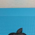 WhatsApp-Image-2023-07-26-at-16.46.19-1.jpeg Apple Logo for Assembly