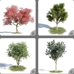 Thp8qLwU.jpeg Fichier 3D Fleurs roses Arbre Home Decor Plante Modèle 3D 13-16・Modèle à télécharger et à imprimer en 3D