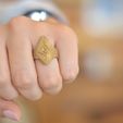 Ancestry3d_MayanTriangles2_display_large.JPG Mayan Triangles Ring