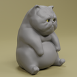 0002.png Sad and Lethargic British Shorthair Cat Figure for 3D Printing