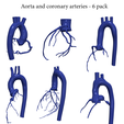 6-pack.png 3D Model of Aorta and Coronary Arteries - 6pack