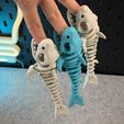 IMG_3291.jpg Requin squelette articulé
