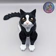 403634756_346216001686947_3873854563347680442_n.jpg Flexi Cat, Print-in-Place, Articulated Kitty