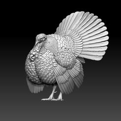 324324342.jpg Fichier STL Dinde oiseau・Plan imprimable en 3D à télécharger, ExplorerPaydi