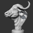 05.png Buffalo_Head_AM03 3D print model