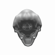 troll-skull-2.png 3 Head Cave Troll of Moria skull