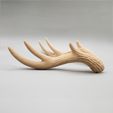 20220624_113934.jpg Large Wavy Antlers | Kiki