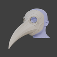 Screenshot-2025-05-25-214330.png Beaked Mask
