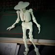 IMG20220922145223.jpg OBJ file ARTICULATED PRINT-IN-PLACE SKELETON COCO・3D printable model to download