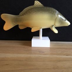 Carp-stl-3d.jpg Файл STL Карп на (дополнительном) постаменте・Дизайн 3D-печати для загрузки3D