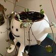 5.jpg Swing pot