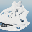 Carnotaurus-skull-30cm-3d-print-3d-model-7.png Череп карнотавра 30 см 3d печать 3d модель