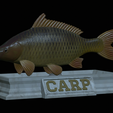 carp-statue-18.png fish carp / Cyprinus carpio statue detailed texture for 3d printing