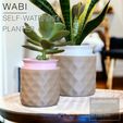 WABI-planter_2-pots.jpg WABI  |  Self-watering Planter
