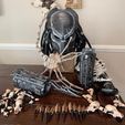 p5.jpg Predator Costume