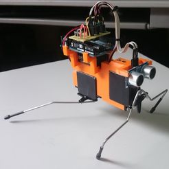 Arduino Insect 1.jpg Free STL file Arduino Insect・3D printer design to download