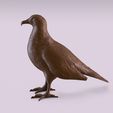 Vulture-figurine_0008.jpg Printable birds