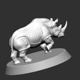 1761737483465.jpg Rhinoceros
