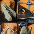PXL_20240315_042936450.jpg Utahraptor dinosaur skull