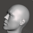 Captura-de-pantalla-2025-03-09-202340.png human head