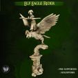 resize-elf-eagle-rider-02.jpg Eagle Rider - High Elves