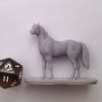 IMG_20230302_121228.jpg Horse Miniatures Set