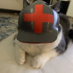 IMG_0283.jpg Cat War Helmet