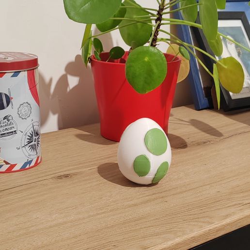 IMG_20240513_230301_edit_68970966083271.jpg Rangement Jeux Nintendo Switch