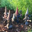 Photo Jun 15, 7 27 14 AM (1).jpg Guardin' Gnomes, Fantasy Garden Gnome Warriors