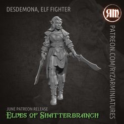 Elf_fighter.jpg Desdemona, elf fighter